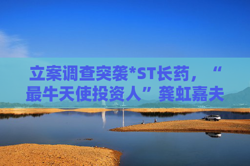 立案调查突袭*ST长药,“最牛天使投资人”龚虹嘉夫妇5.93亿元投资再临挑战