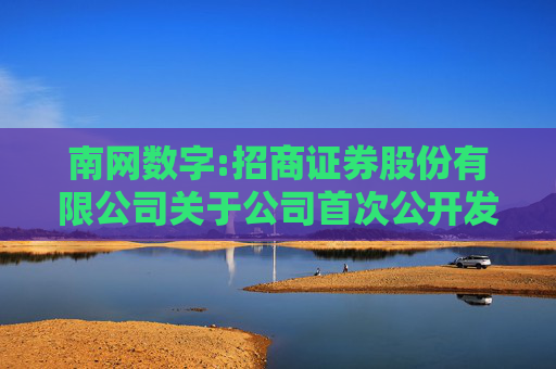 南网数字:招商证券股份有限公司关于公司首次公开发行股票并在创业板上市的上市保荐书