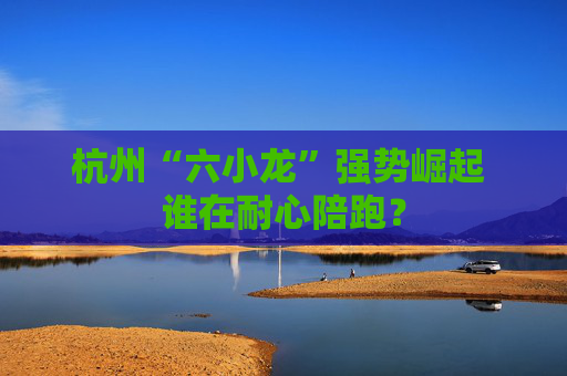 杭州“六小龙”强势崛起 谁在耐心陪跑?