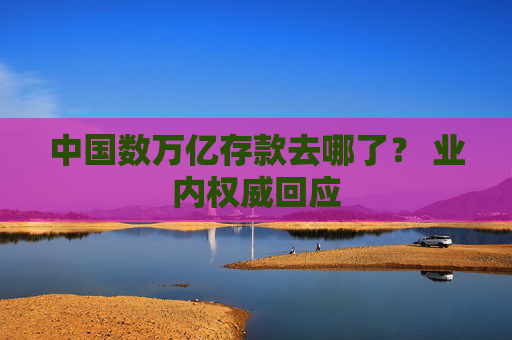 中国数万亿存款去哪了？ 业内权威回应