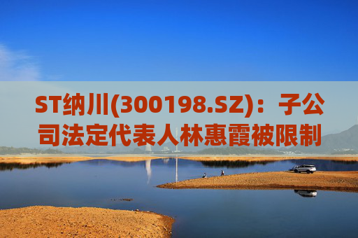 ST纳川(300198.SZ)：子公司法定代表人林惠霞被限制高消费