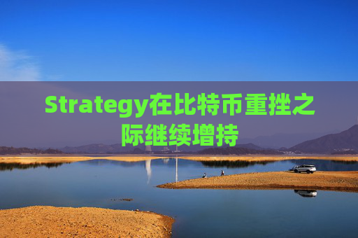 Strategy在比特币重挫之际继续增持  第1张