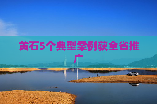 黄石5个典型案例获全省推广 第1张 黄石5个典型案例获全省推广 第1张