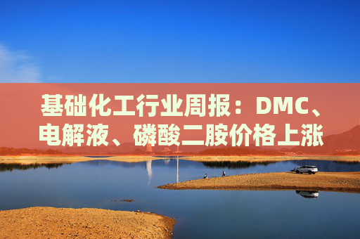 基础化工行业周报：DMC、电解液、磷酸二胺价格上涨 关注反内卷和铬盐