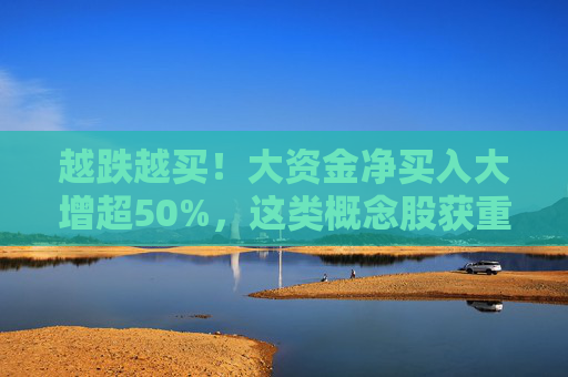 越跌越买！大资金净买入大增超50%，这类概念股获重点关注