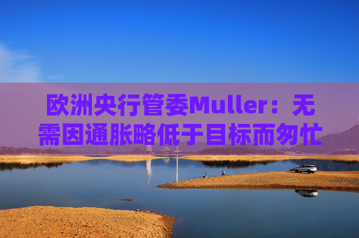 欧洲央行管委Muller：无需因通胀略低于目标而匆忙降息
