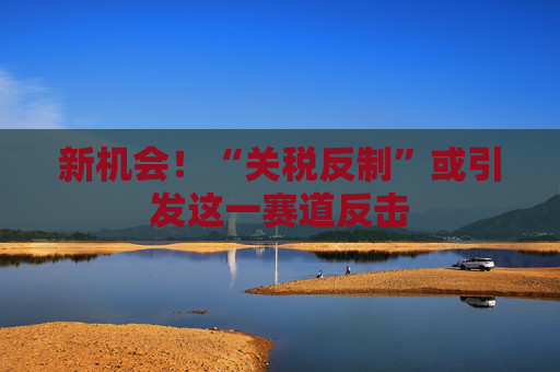 新机会!“关税反制”或引发这一赛道反击