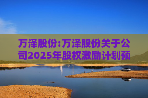 万泽股份:万泽股份关于公司2025年股权激励计划预留授予限制性股票登记完成的公告