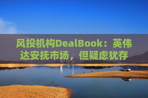 风投机构DealBook：英伟达安抚市场，但疑虑犹存