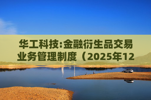 华工科技:金融衍生品交易业务管理制度（2025年12月）  第1张