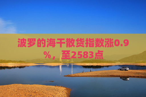波罗的海干散货指数涨0.9%，至2583点  第1张