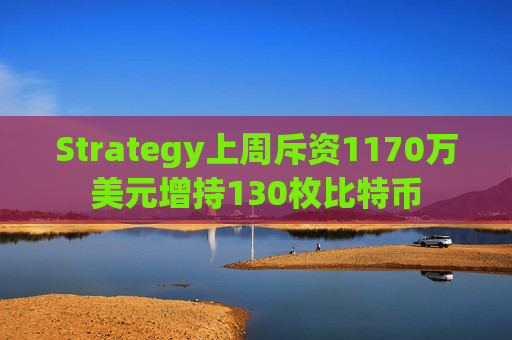 Strategy上周斥资1170万美元增持130枚比特币