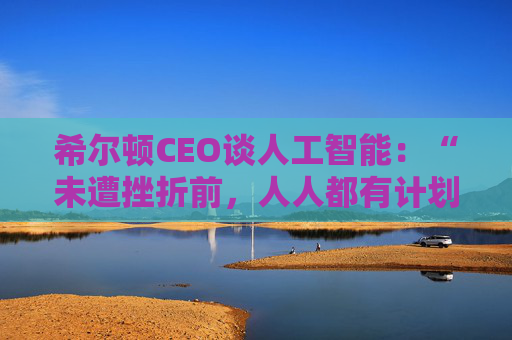 希尔顿CEO谈人工智能：“未遭挫折前，人人都有计划”