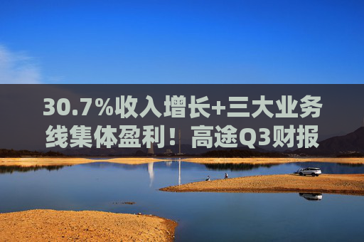 30.7%收入增长+三大业务线集体盈利！高途Q3财报提交出众成绩单