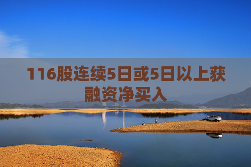 116股连续5日或5日以上获融资净买入