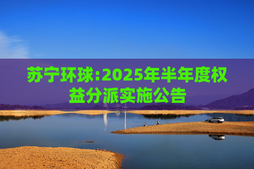 苏宁环球:2025年半年度权益分派实施公告