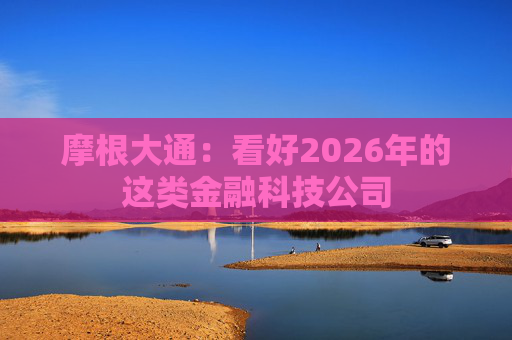 摩根大通：看好2026年的这类金融科技公司