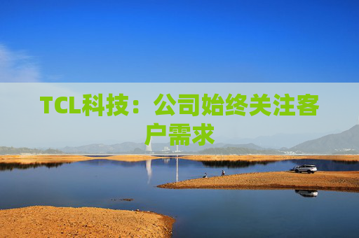 TCL科技：公司始终关注客户需求  第1张