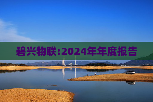 碧兴物联:2024年年度报告  第1张