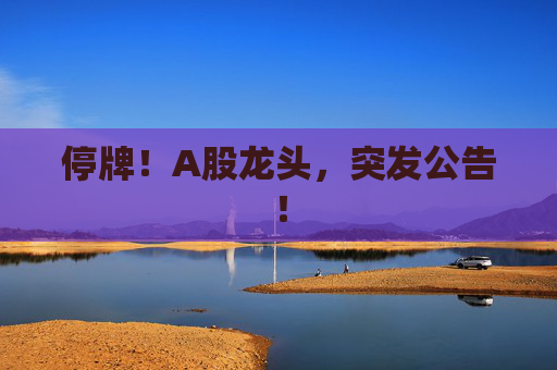停牌！A股龙头，突发公告！