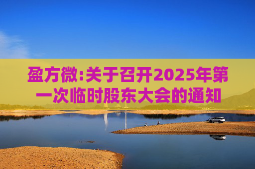 盈方微:关于召开2025年第一次临时股东大会的通知
