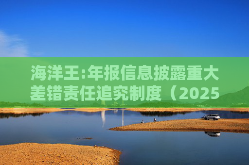 海洋王:年报信息披露重大差错责任追究制度（2025年12月）