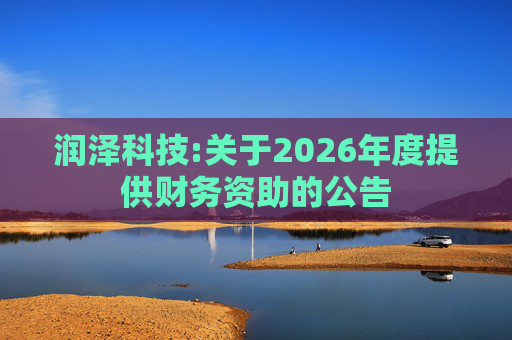 润泽科技:关于2026年度提供财务资助的公告