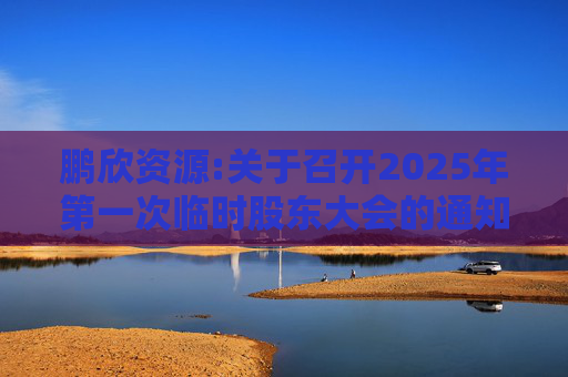 鹏欣资源:关于召开2025年第一次临时股东大会的通知