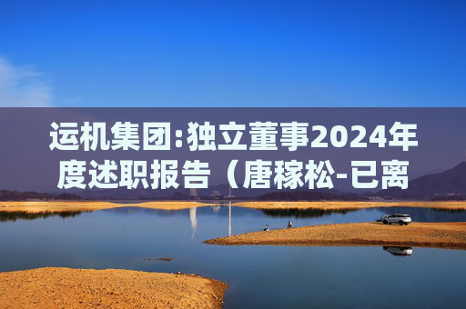 运机集团:独立董事2024年度述职报告（唐稼松-已离任）  第1张