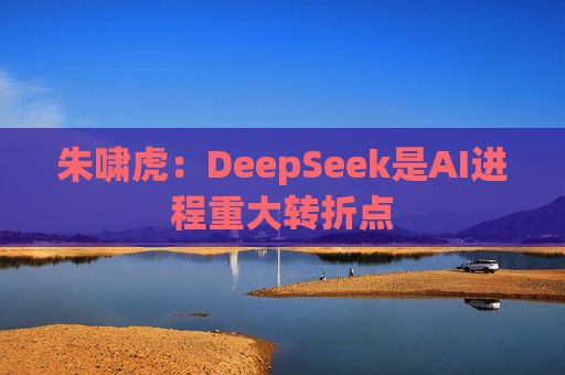 朱啸虎：DeepSeek是AI进程重大转折点
