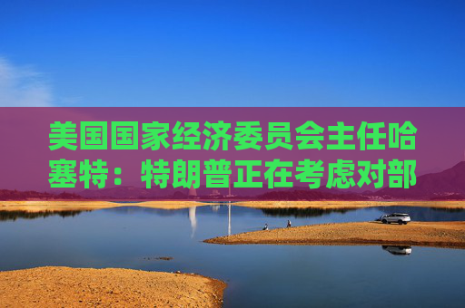 美国国家经济委员会主任哈塞特：特朗普正在考虑对部分国家暂停90天的关税  第1张