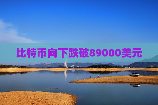 比特币向下跌破89000美元  第1张