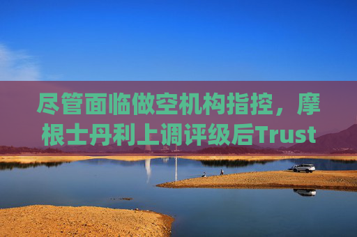 尽管面临做空机构指控，摩根士丹利上调评级后Trustpilot股价飙升  第1张