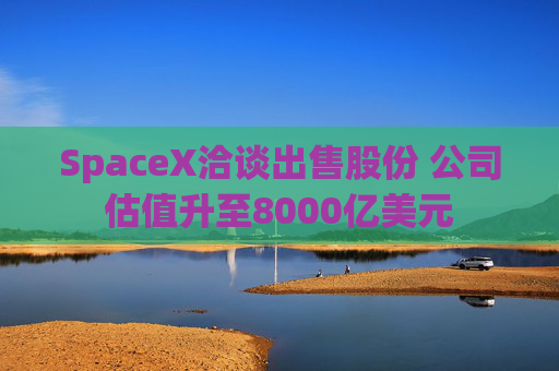 SpaceX洽谈出售股份 公司估值升至8000亿美元