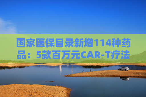国家医保目录新增114种药品：5款百万元CAR-T疗法纳入商保，企业代表直呼这是“重要里程碑”