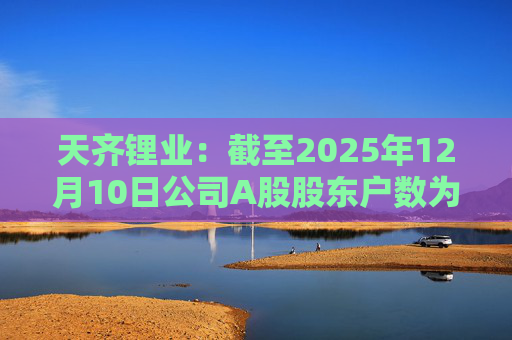 天齐锂业:截至2025年12月10日公司A股股东户数为307706户