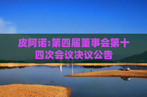 皮阿诺:第四届董事会第十四次会议决议公告