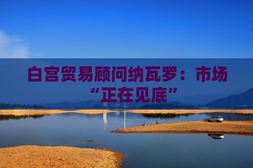 白宫贸易顾问纳瓦罗：市场“正在见底”