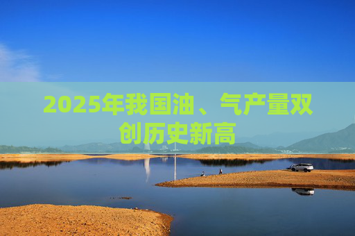 2025年我国油、气产量双创历史新高