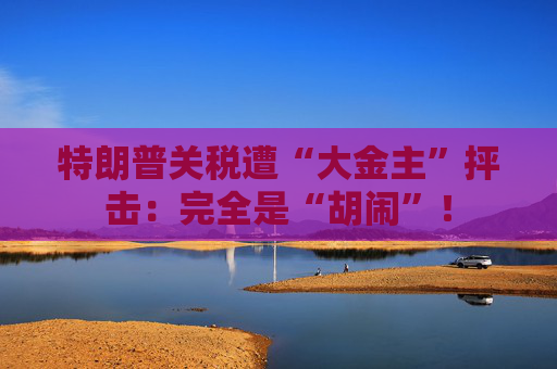 特朗普关税遭“大金主”抨击:完全是“胡闹”!