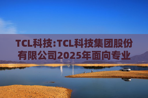 TCL科技:TCL科技集团股份有限公司2025年面向专业投资者公开发行科技创新公司债券（数字经济）（第一期）发行公告