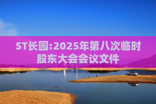 ST长园:2025年第八次临时股东大会会议文件