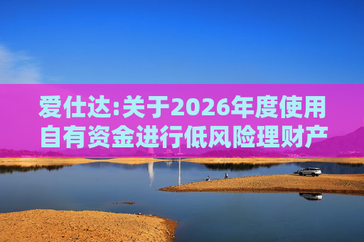 爱仕达:关于2026年度使用自有资金进行低风险理财产品投资的公告
