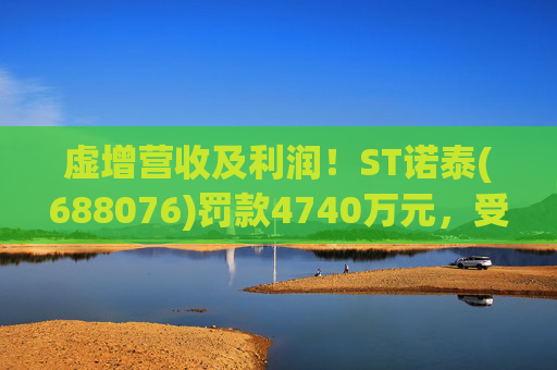 虚增营收及利润！ST诺泰(688076)罚款4740万元，受损投资者可索赔！