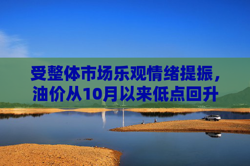 受整体市场乐观情绪提振，油价从10月以来低点回升