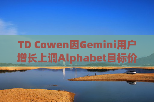 TD Cowen因Gemini用户增长上调Alphabet目标价
