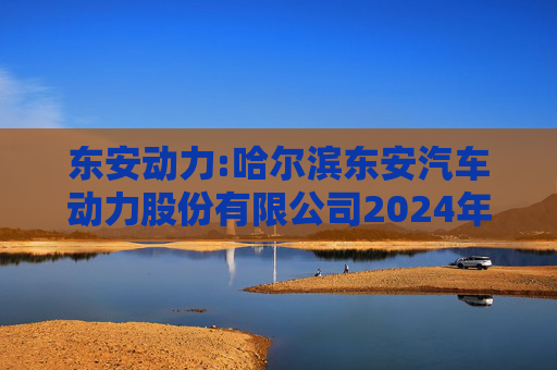 东安动力:哈尔滨东安汽车动力股份有限公司2024年度内部控制审计报告  第1张