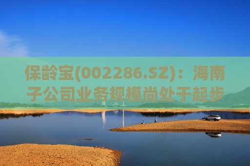 保龄宝(002286.SZ)：海南子公司业务规模尚处于起步阶段