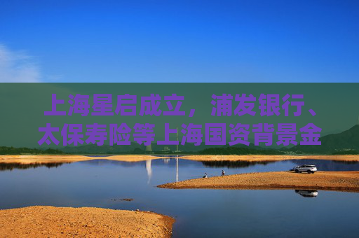上海星启成立，浦发银行、太保寿险等上海国资背景金融机构参与  第1张