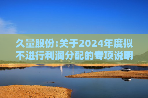 久量股份:关于2024年度拟不进行利润分配的专项说明